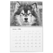 Dave's Garden Photo Contestの受賞者は次のように述べている カレンダー (1月 2026)