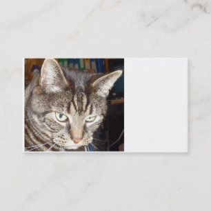 Dave's Watching You Business Card 名刺