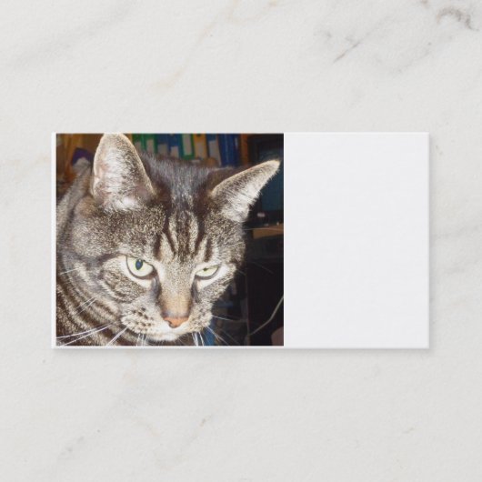 Dave's Watching You Business Card 名刺 (正面)