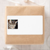 Dave's Watching You Shipping Labels ラベル (インサイチュ)