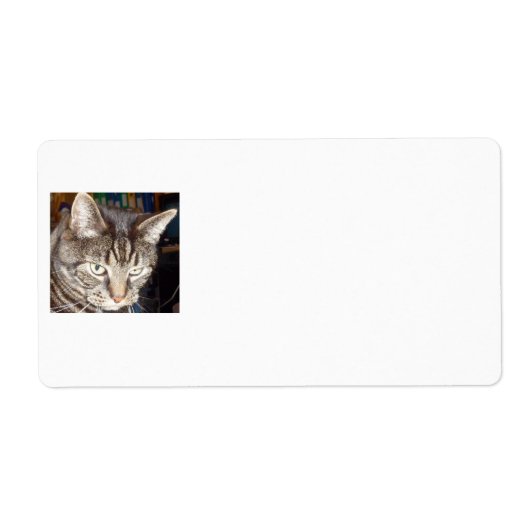 Dave's Watching You Shipping Labels ラベル (正面)