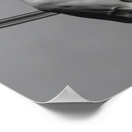 DAVID by MICHELANGELO ポスター (角)