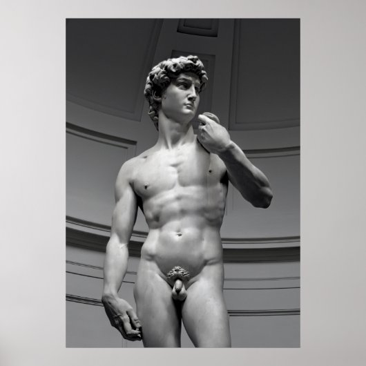 DAVID by MICHELANGELO ポスター (正面)