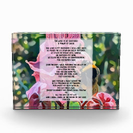 David Psalm 23 biblical quote フォトブロック