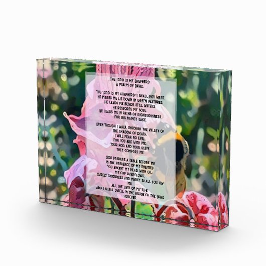 David Psalm 23 biblical quote フォトブロック (右)