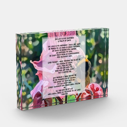 David Psalm 23 biblical quote フォトブロック (左)