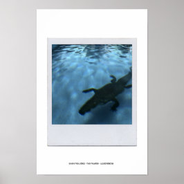 DAVID'S POOL SERIES p05bポスター ポスター