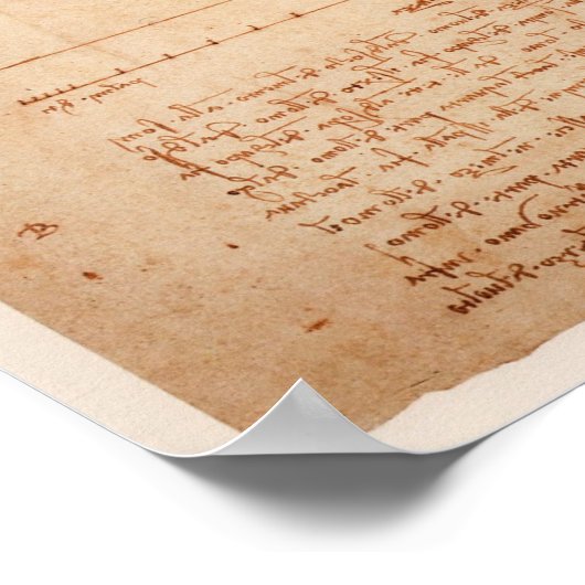 DaVinci Man ポスター (角)