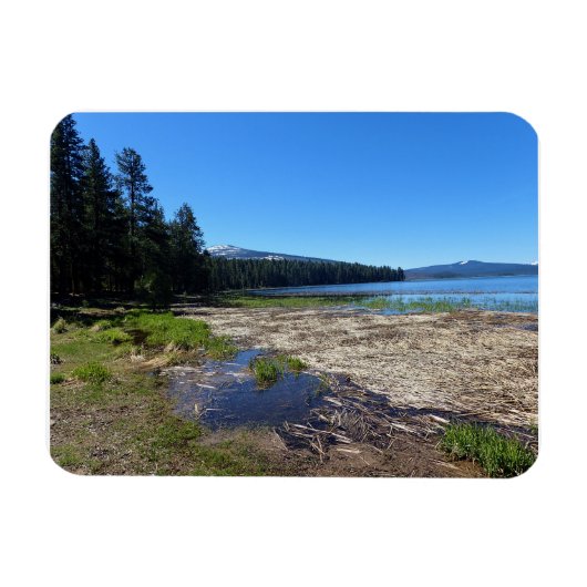 Davis LakeまたはOR マグネット (横)