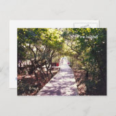 Davis Park On Fire Isのボードウォーク。 ポストカード (正面/裏面)