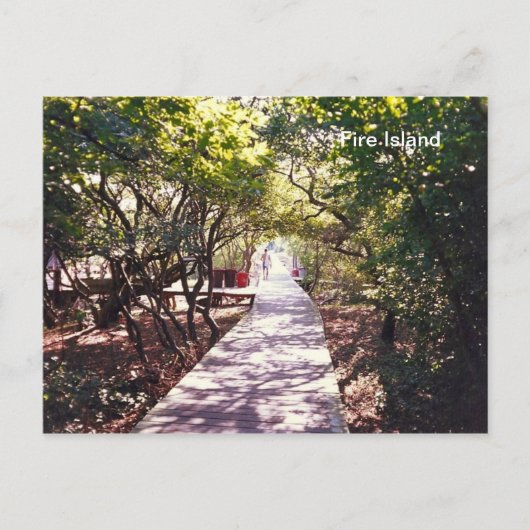 Davis Park On Fire Isのボードウォーク。 ポストカード (正面)