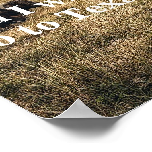 Davy Crockett引用文On Hellとテキサス州ポスター ポスター (角)