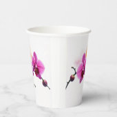 Dawn Bloom Orchid 紙コップ (右)