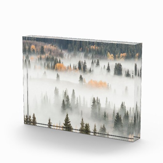 Dawn Ground Fog Covers Mountain Forest フォトブロック (右)