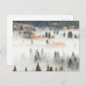 Dawn Ground Fog Covers Mountain Forest ポストカード (正面/裏面)