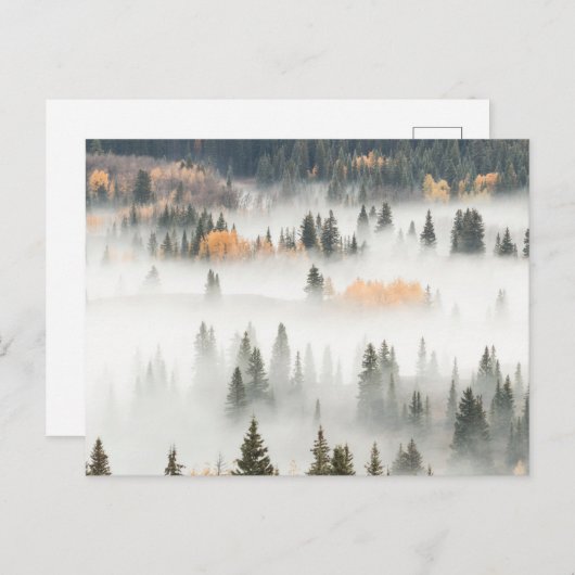 Dawn Ground Fog Covers Mountain Forest ポストカード (正面/裏面)