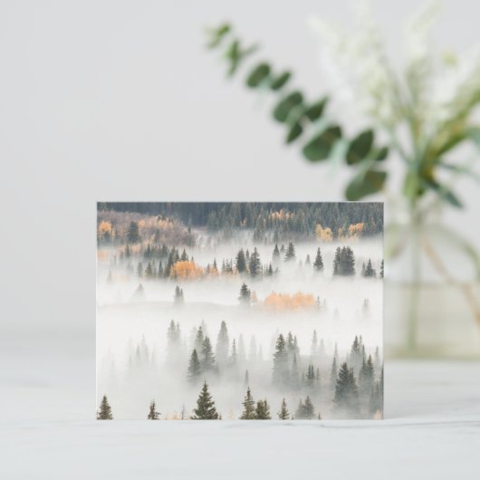 Dawn Ground Fog Covers Mountain Forest ポストカード (スタンド正面)