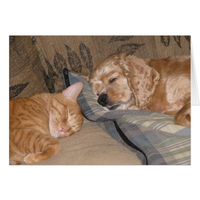 Daxおよびチャンスの共有 (正面横)