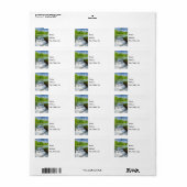 Day At Ritter春ラベル ラベル (フルシート)