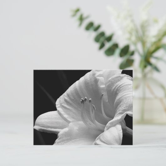 Day Lilyはがき ポストカード (スタンド正面)