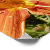 Day lily ポスター (角)