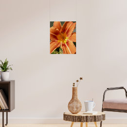 Day lily ポスター
