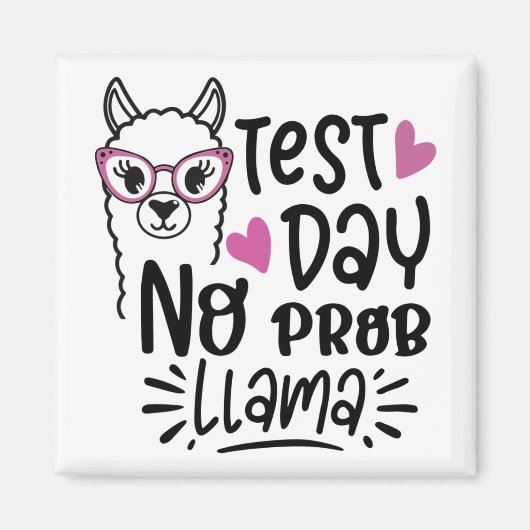 Day No Prob – ラマラマ先生テストDay 1 マグネット (正面)