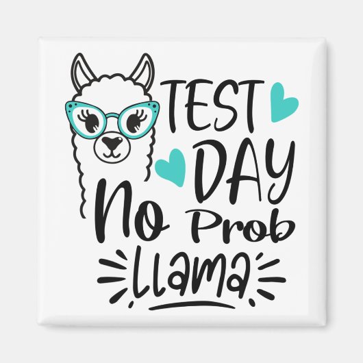 Day No Prob – ラマラマ先生テストDay 2 マグネット (正面)
