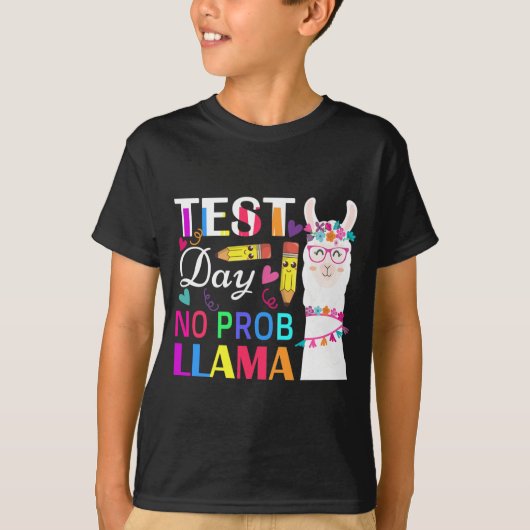 Day No Prob Llama先生テスおもしろいト2 Tシャツ (正面)