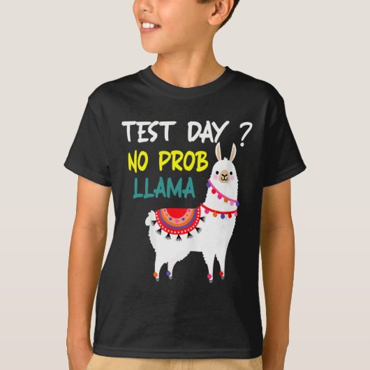 Day No Prob-Llama Llama先生テストDay For Te Tシャツ (正面)
