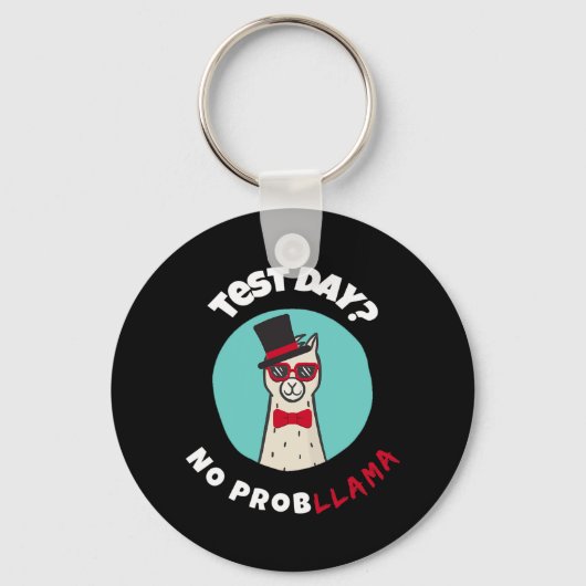 Day No Probllamaテストおもしろいラマデザイン キーホルダー (正面)