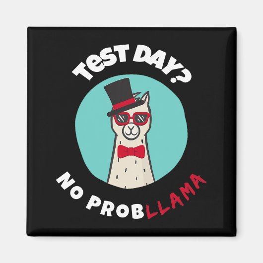 Day No Probllamaテストおもしろいラマデザイン マグネット (正面)