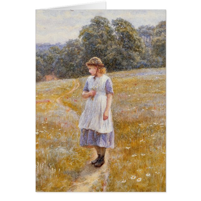 Daydreamer 1878年 (正面)