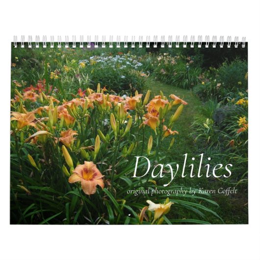 Daylilesのカラフルな雑種のHemerocallis カレンダー (カバー)