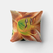 Daylilyマクロ クッション (正面)