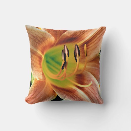 Daylilyマクロ クッション (正面)