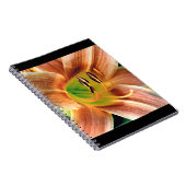 Daylilyマクロ ノートブック (右側)