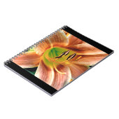 Daylilyマクロ ノートブック (左側)