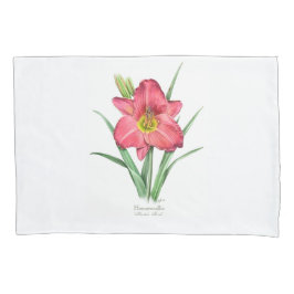 Daylily – ハンターズトーチ 枕カバー