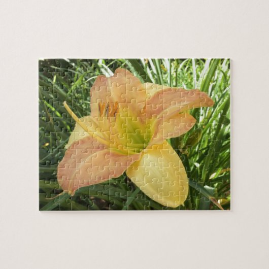 DAYLILY "ブロンドベビー" - – 黄色の緑のオレンジ。 ジグソーパズル (横)