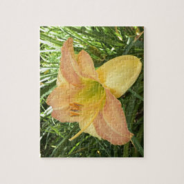DAYLILY "ブロンドベビー" - – 黄色の緑のオレンジ。 ジグソーパズル