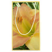 DAYLILY "ブロンドベビー" - – 黄色の緑のオレンジ。 スモールペーパーバッグ (裏面)