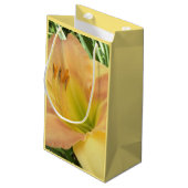 DAYLILY "ブロンドベビー" - – 黄色の緑のオレンジ。 スモールペーパーバッグ (裏面アングル)
