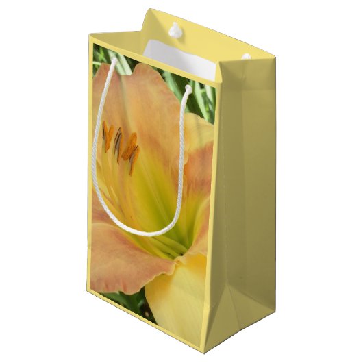 DAYLILY "ブロンドベビー" - – 黄色の緑のオレンジ。 スモールペーパーバッグ (正面アングル)