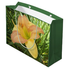 DAYLILY "ブロンドベビー" - – 黄色の緑のオレンジ。 ラージペーパーバッグ
