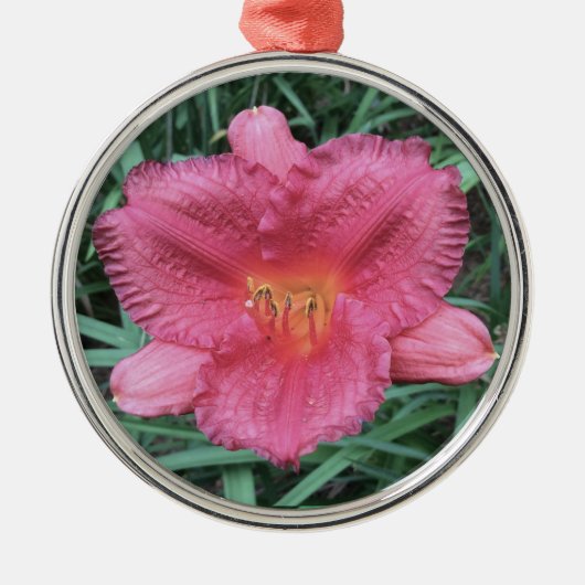 DAYLILY "リトルファットダズラー" メタルオーナメント (正面)