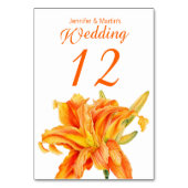 Daylily Hemerocallisフローラ結婚のテーブル番号 テーブルナンバー (裏面)