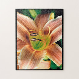 Daylily Macro ジグソーパズル