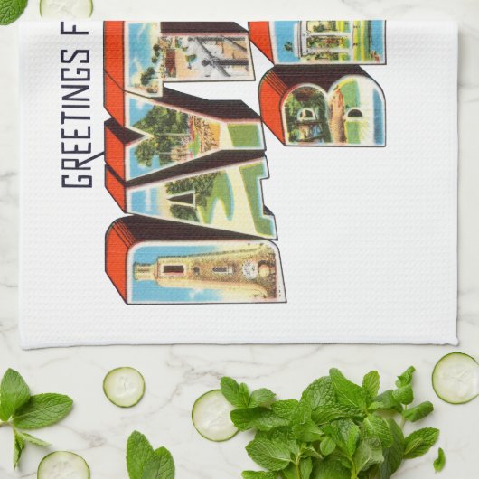 Daytona Beach FL キッチンタオル (折り畳み)