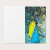 Dazling Peacock – ギフト空白のラベルセット (外部フラット)